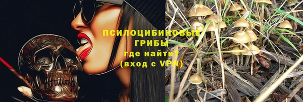 гашик Новодвинск