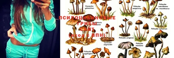 кокаин колумбия Новозыбков
